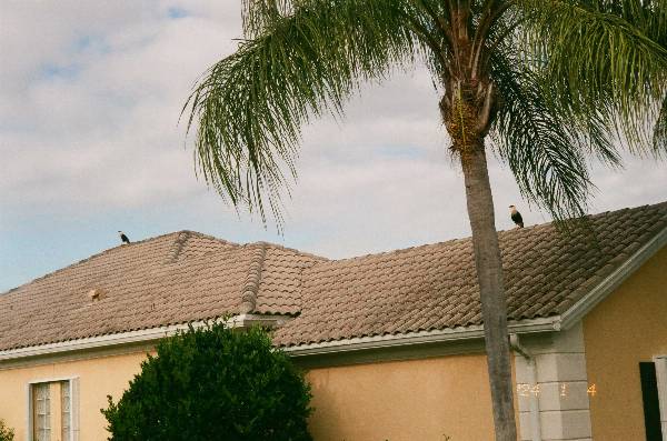 2024_04_05_02_0007