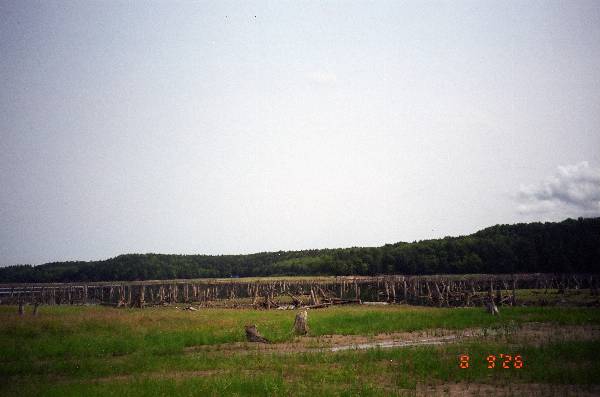 2026_08_24_04_0007