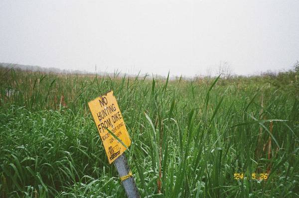 2024_08_08_02_0002
